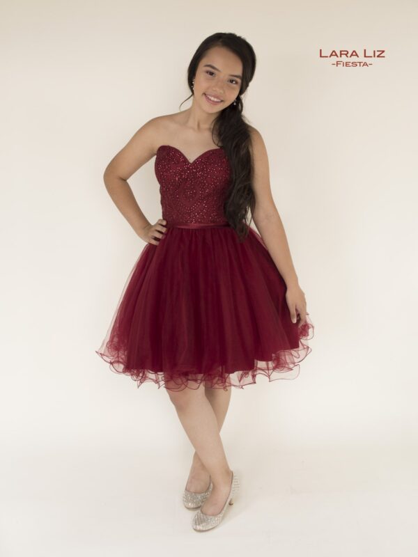 Vestidos de graduación vino DC3014